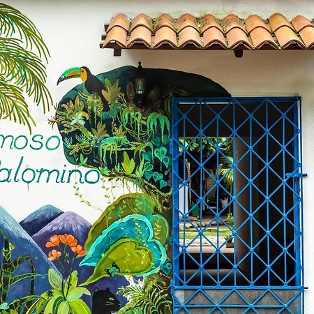 Hostal Hermoso Palomino Dış mekan fotoğraf