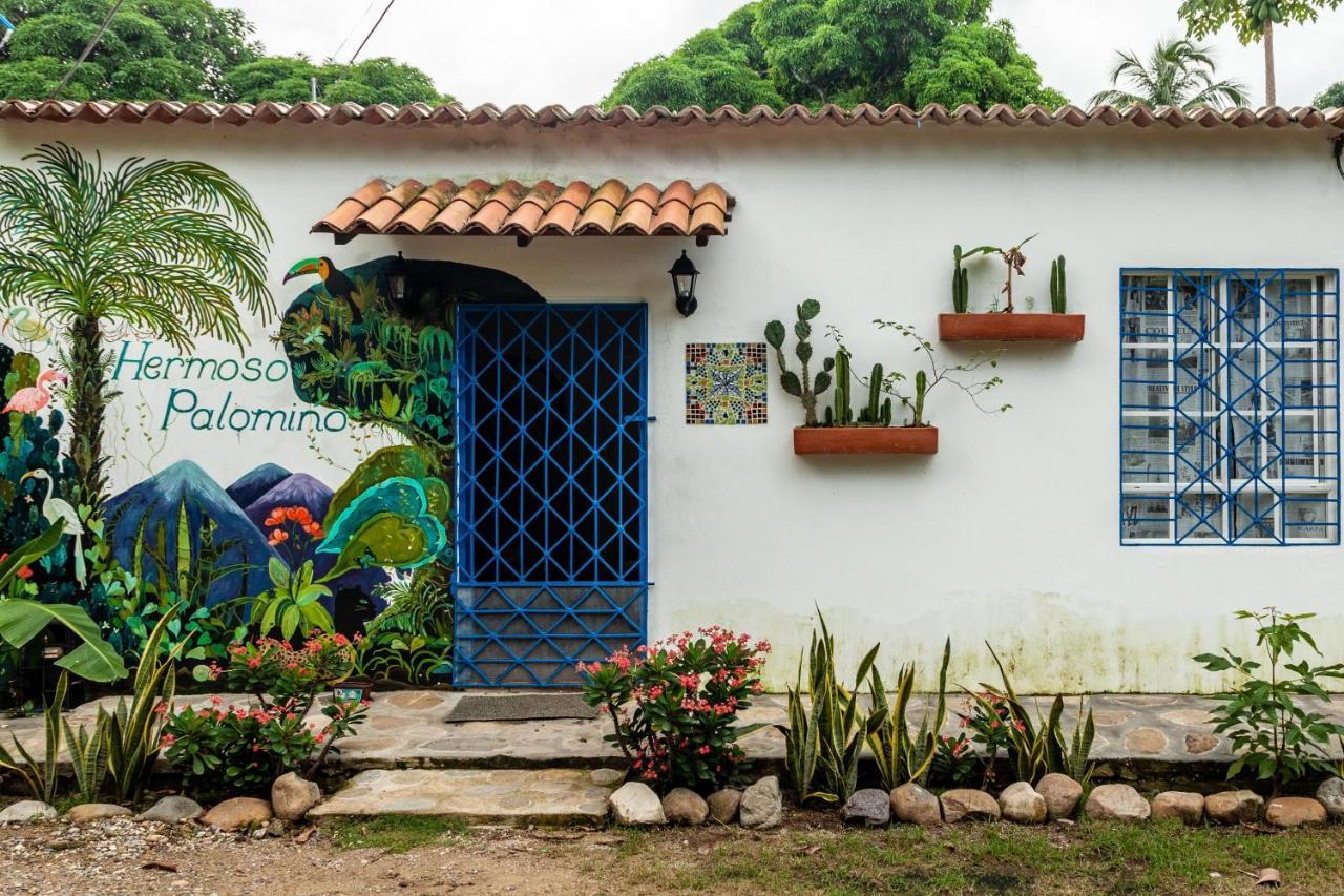 Hostal Hermoso Palomino Dış mekan fotoğraf