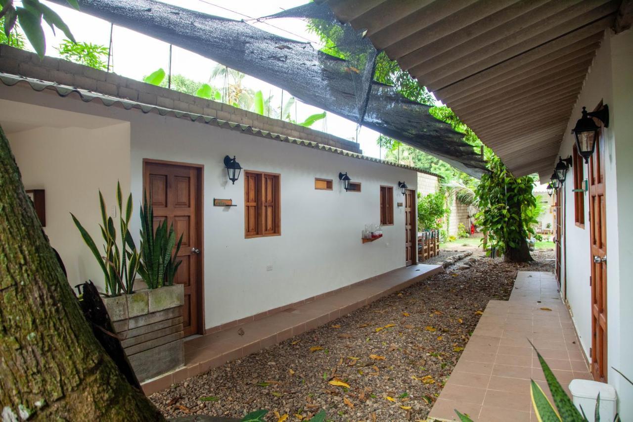 Hostal Hermoso Palomino Dış mekan fotoğraf