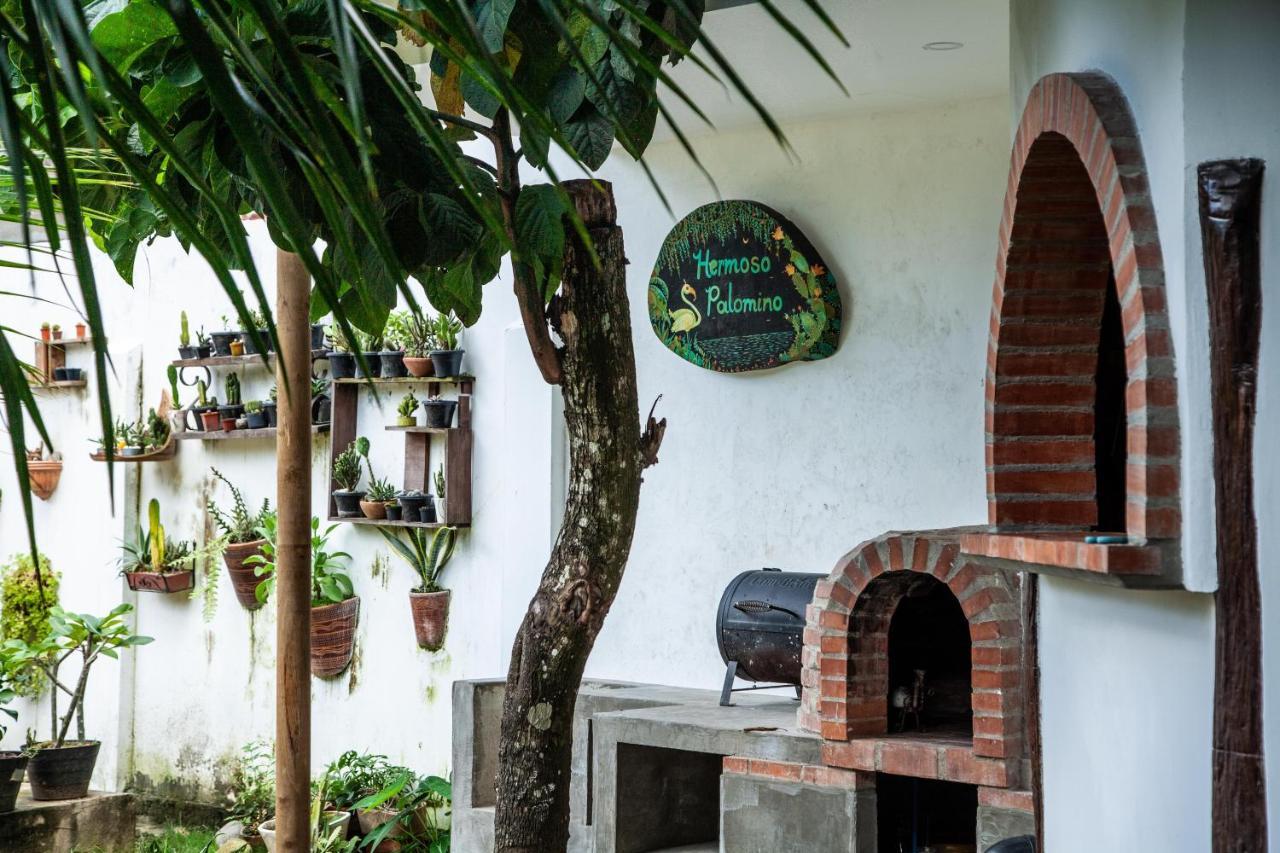 Hostal Hermoso Palomino Dış mekan fotoğraf