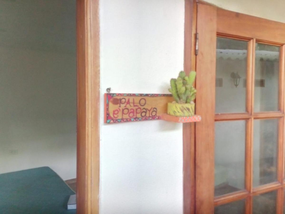 Hostal Hermoso Palomino Dış mekan fotoğraf