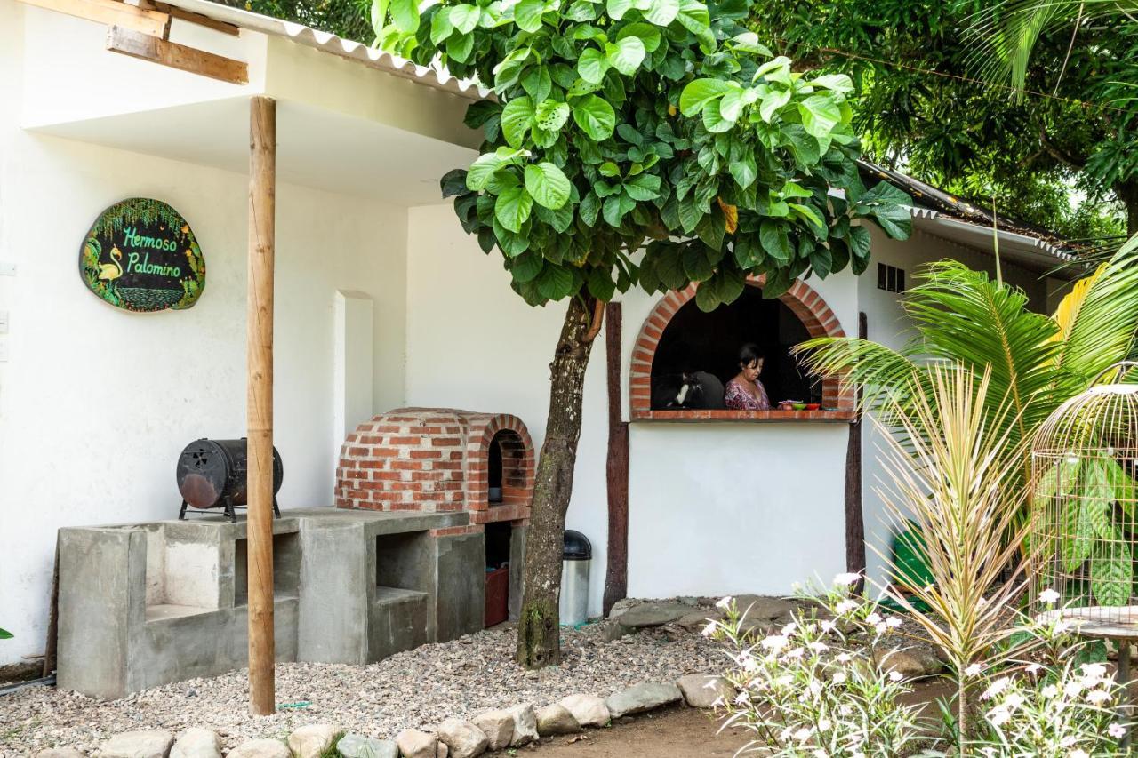 Hostal Hermoso Palomino Dış mekan fotoğraf