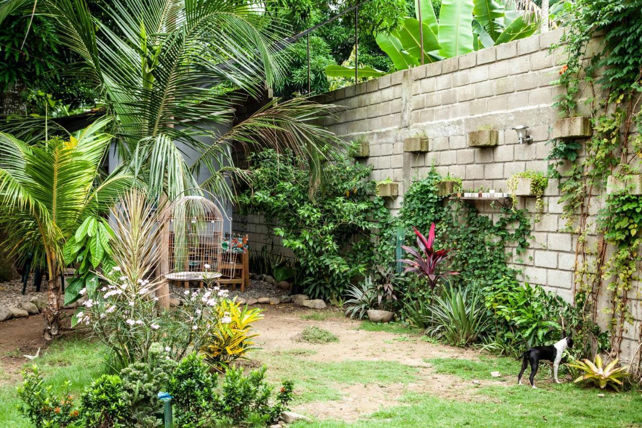 Hostal Hermoso Palomino Dış mekan fotoğraf