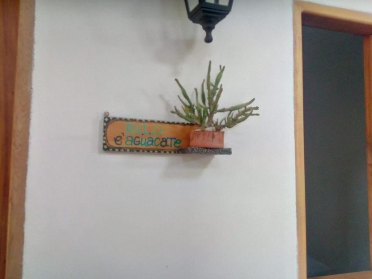 Hostal Hermoso Palomino Dış mekan fotoğraf
