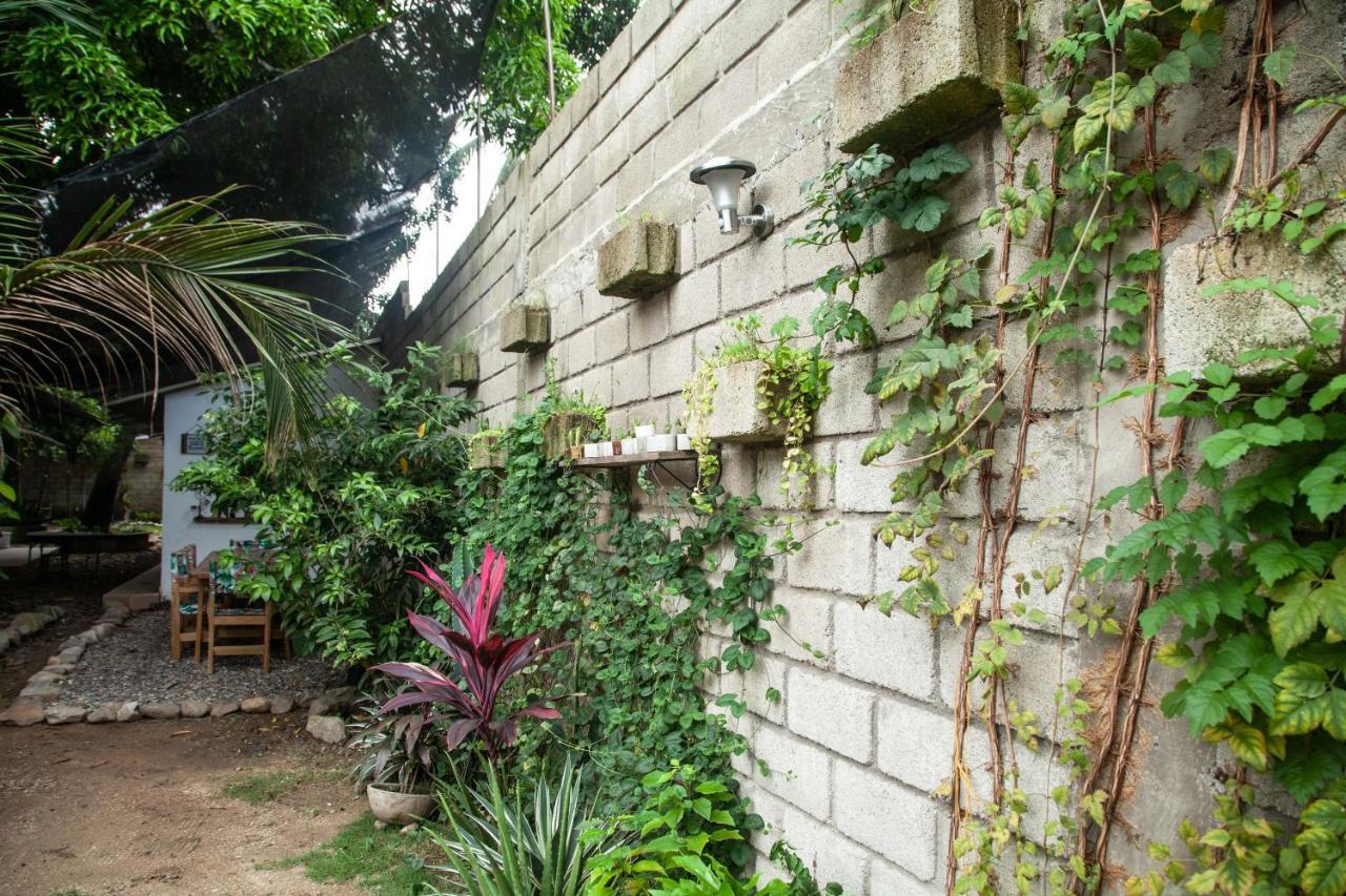 Hostal Hermoso Palomino Dış mekan fotoğraf